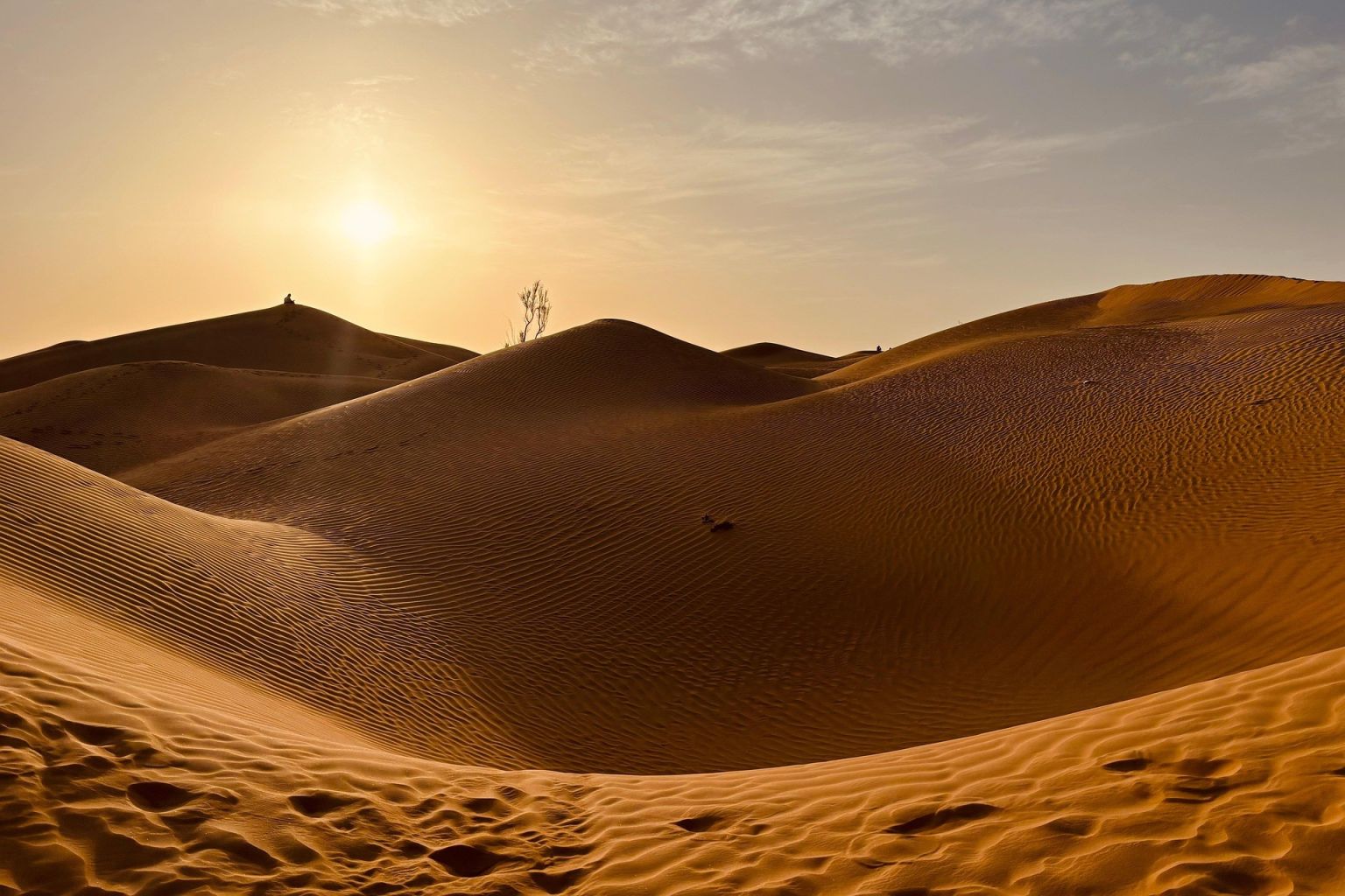 u_ng6t7p8sg1-oman-8560420_1920.jpg