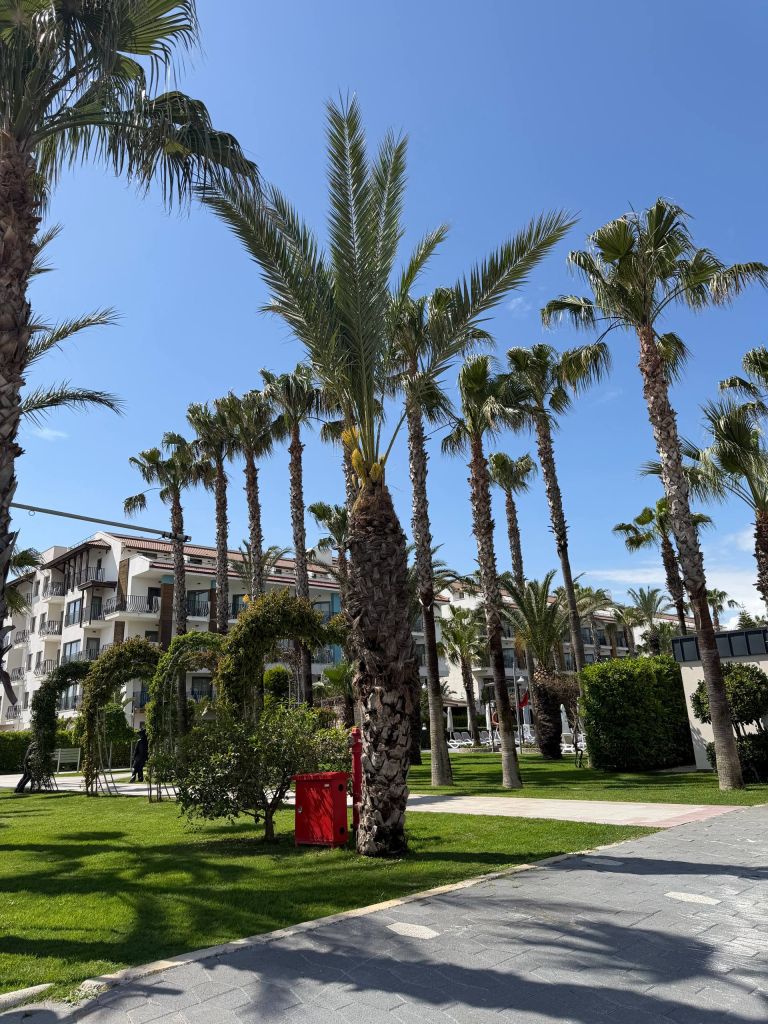 Belek1.jpg
