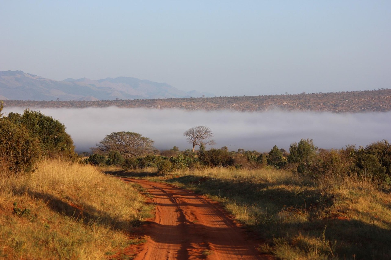 kikatani-tsavo-111701_1280.jpg